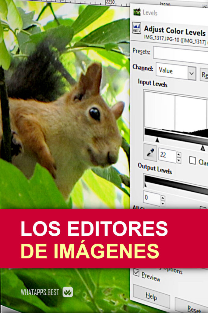 Cómo elegir un editor de imágenes, o buscar un "reemplazo para Photoshop"