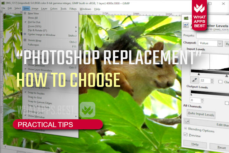 How to choose an image editor, or search for a replacement for Photoshop